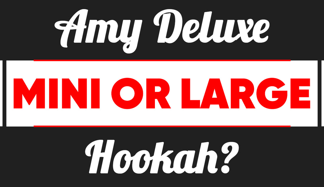 Large or Mini Amy Deluxe Hookah?