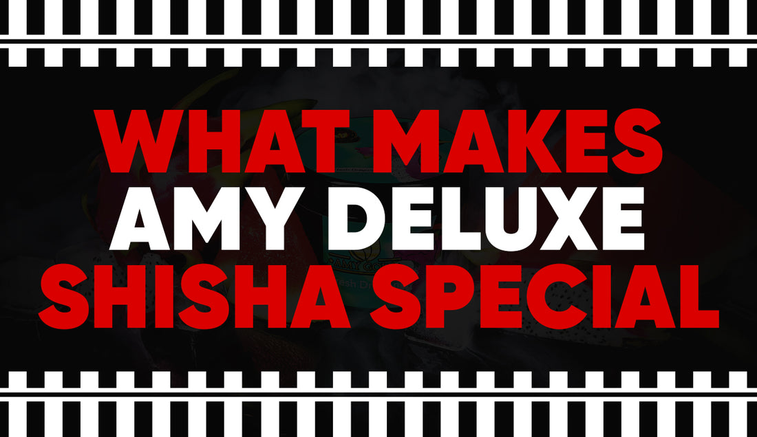 What Makes Amy Deluxe Shisha Special?