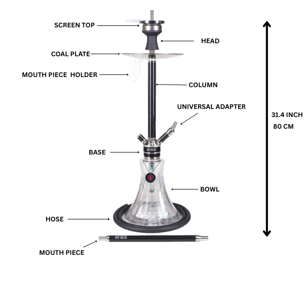 Amy Deluxe German hookah shisha set, ss22.01 Carbonica Pride R