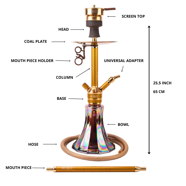 Amy Deluxe German hookah shisha set, ss22.02 Carbonica Pride RS